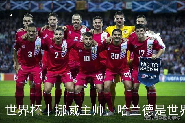 世界杯｜挪威主帅：哈兰德是世界上最好的射手